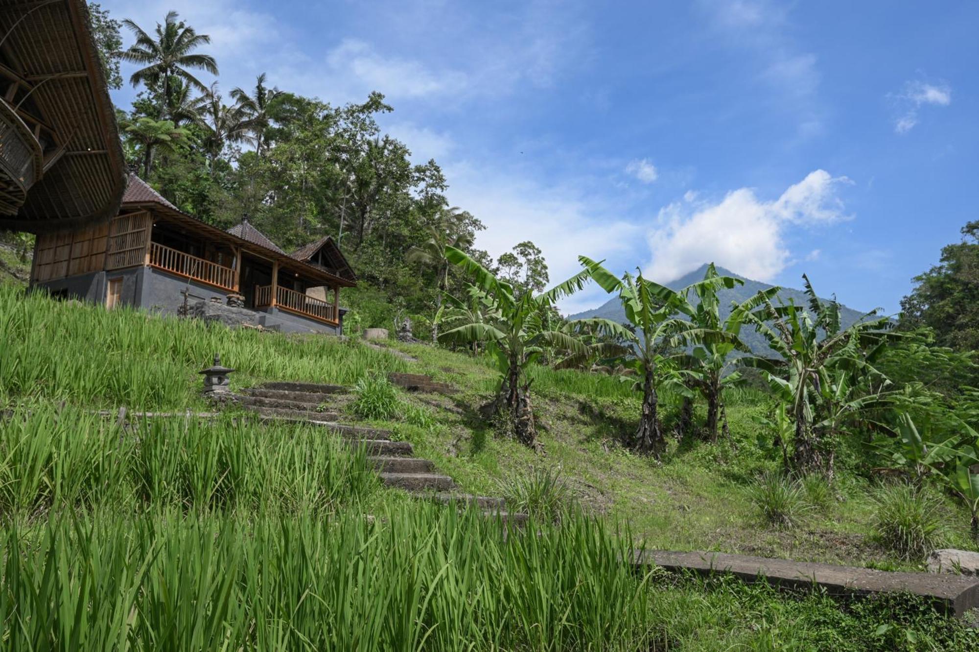 Keuma Villa & Resto Jatiluwih By The Lavana Exterior photo