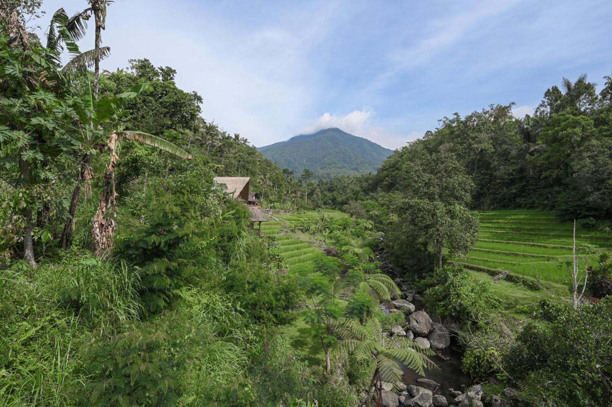Keuma Villa & Resto Jatiluwih By The Lavana Exterior photo